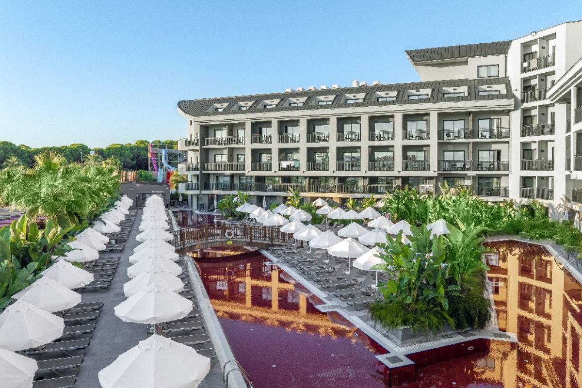 THE X BELEK