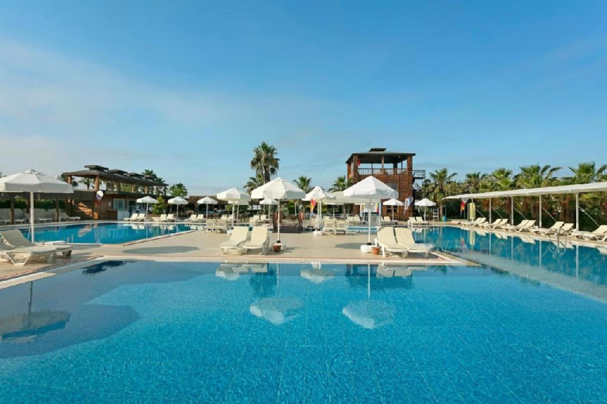 ARMAS LIFE BELEK