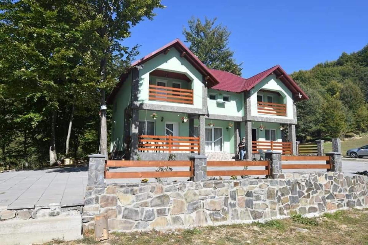 Cabana Poiana Nedi (Ciocotis)