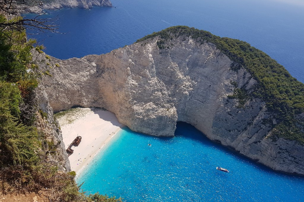 Domes Aulus Zante Autograf Collection