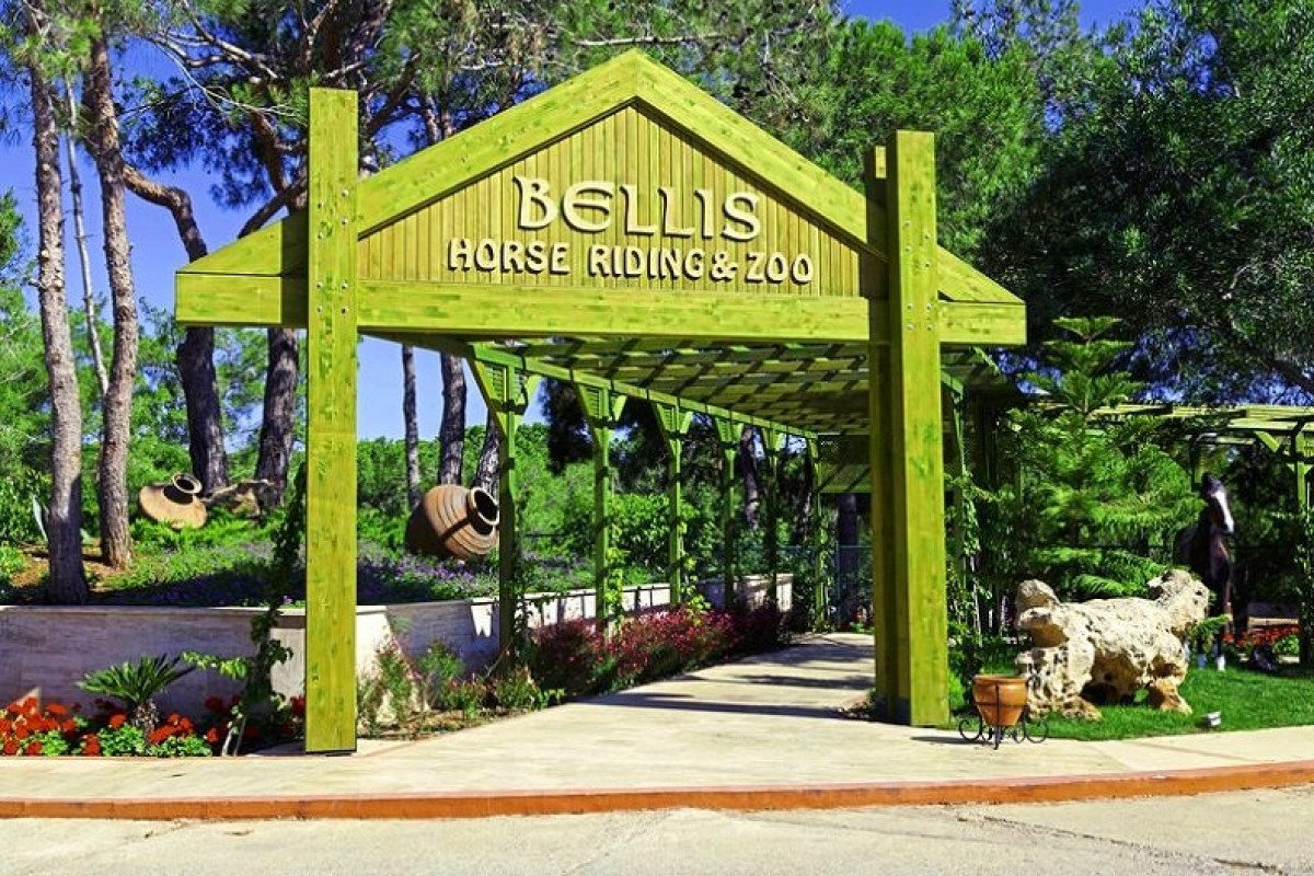 BELLIS DELUXE HOTEL