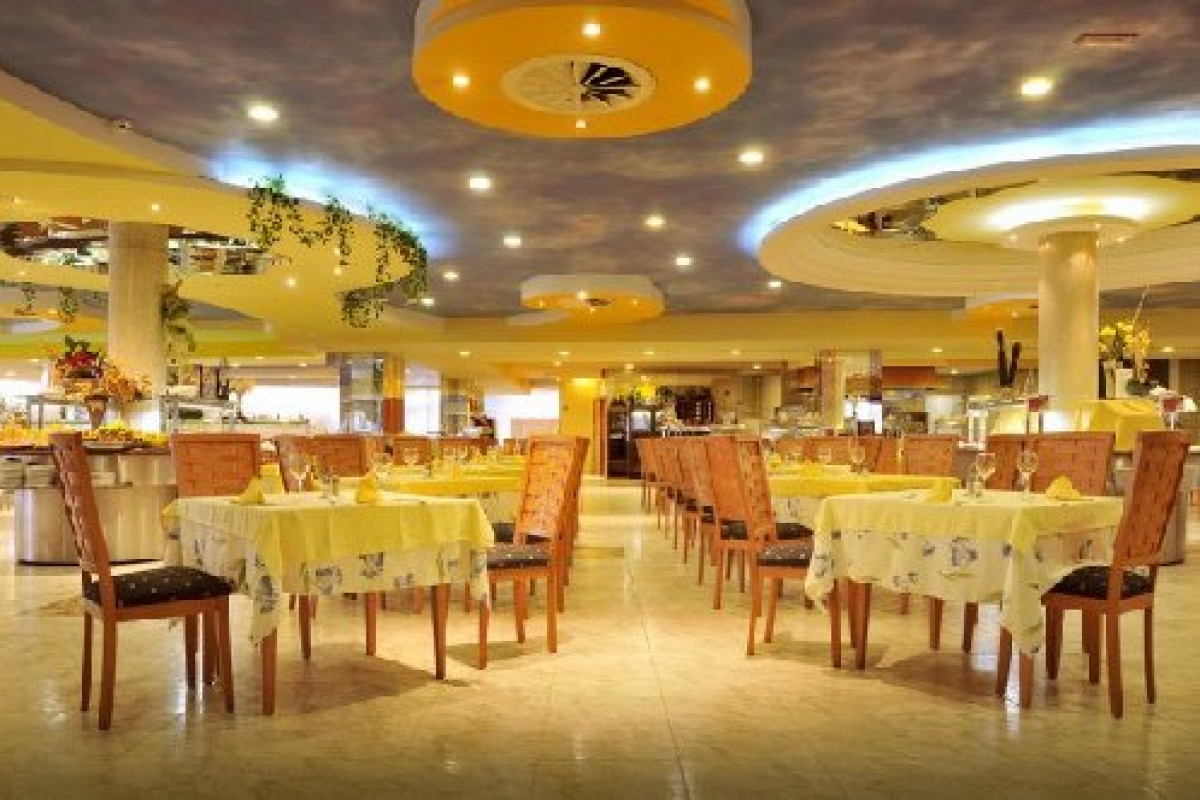 Kaktus Albir (Albir)
