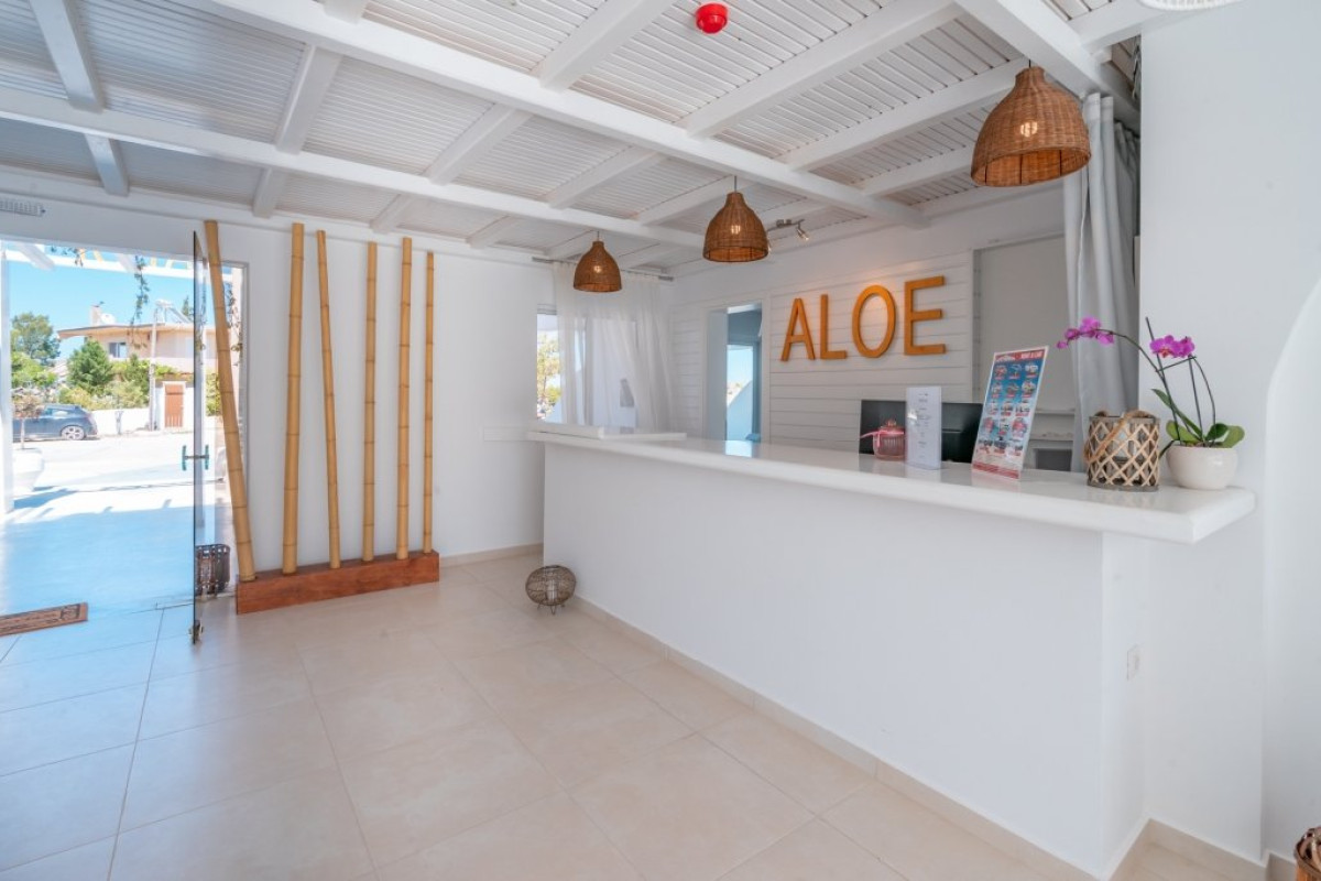 Aloe - Adults Only 18+ (D)