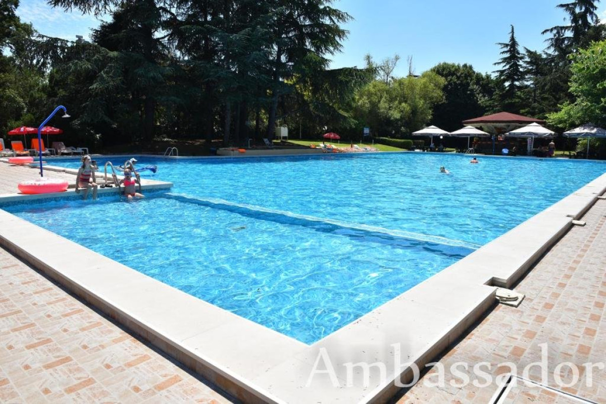 AMBASSADOR (GOLDEN SANDS)