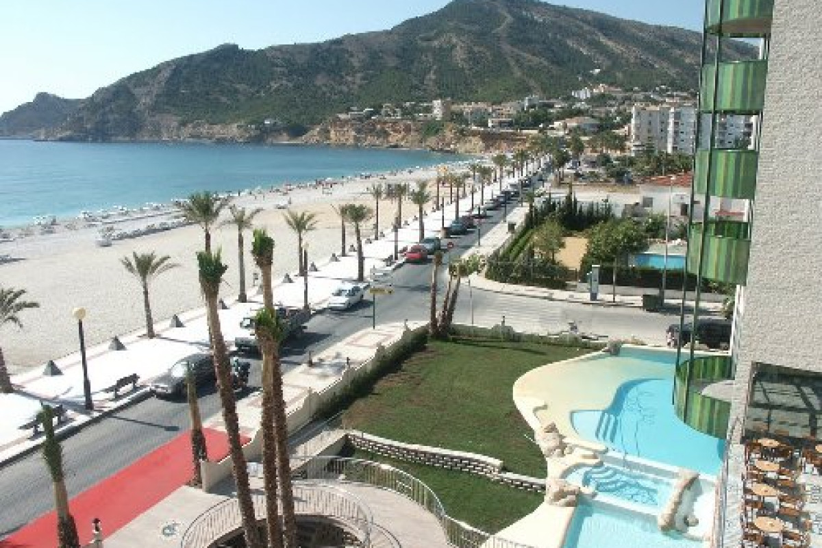 Kaktus Albir (Albir)