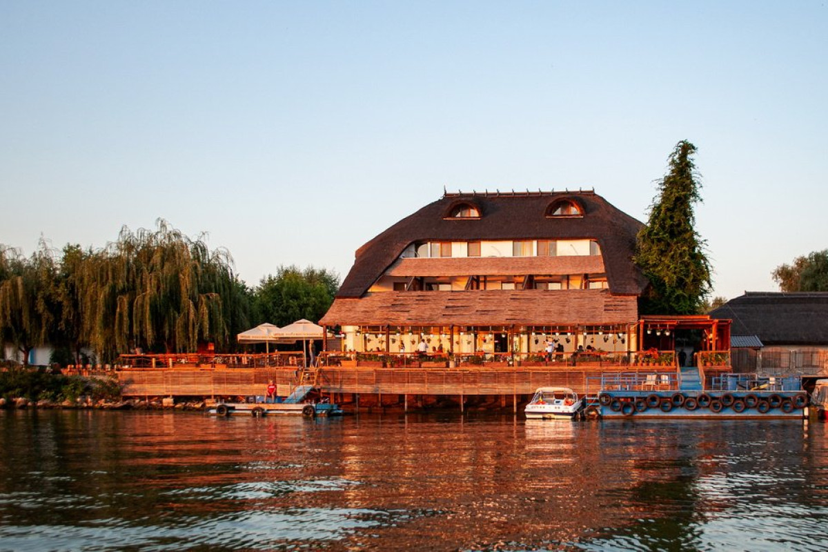 Paradise Delta House - Crisan