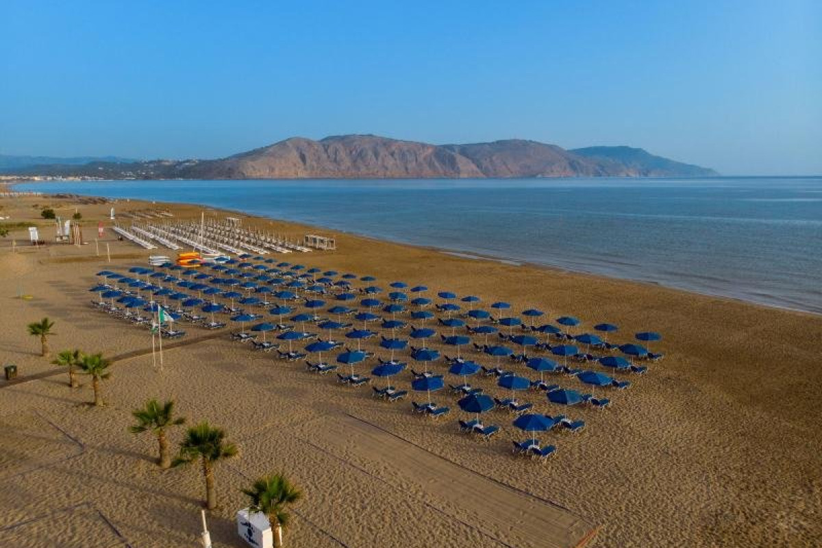 Delfina Beach