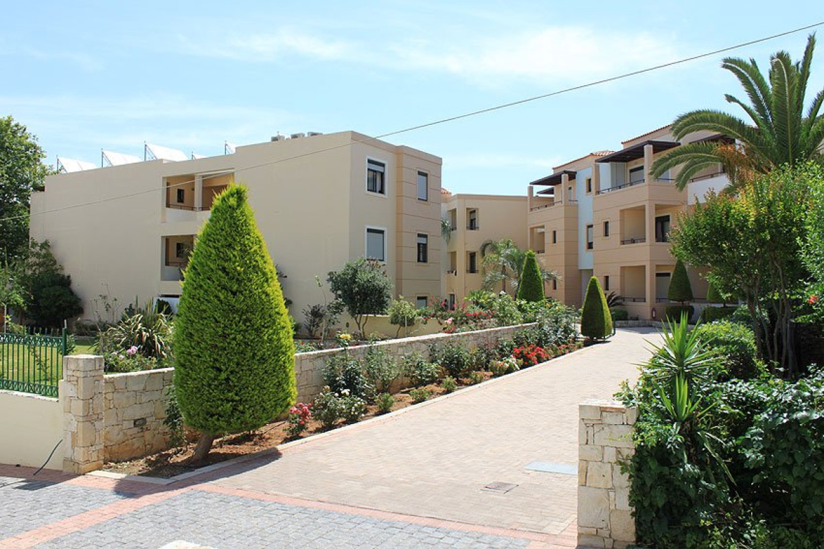 Creta Palm (K)