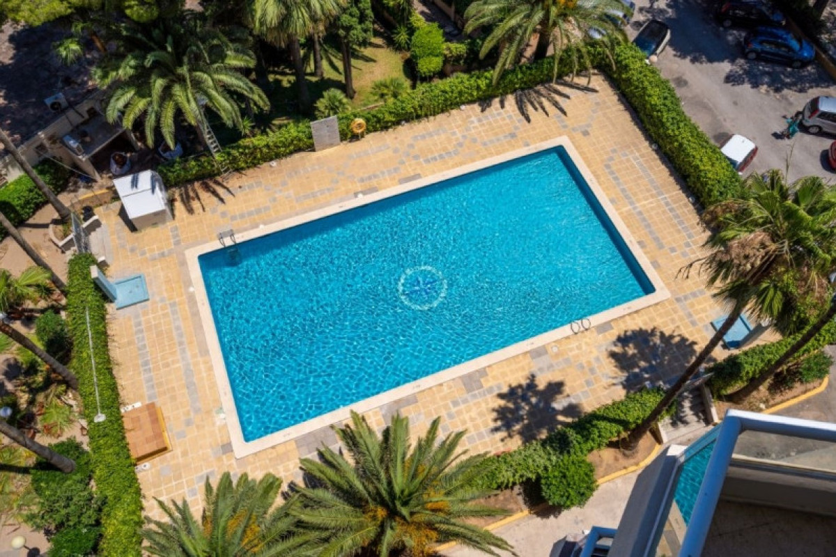 Apartamentos Las Palomas Econotels
