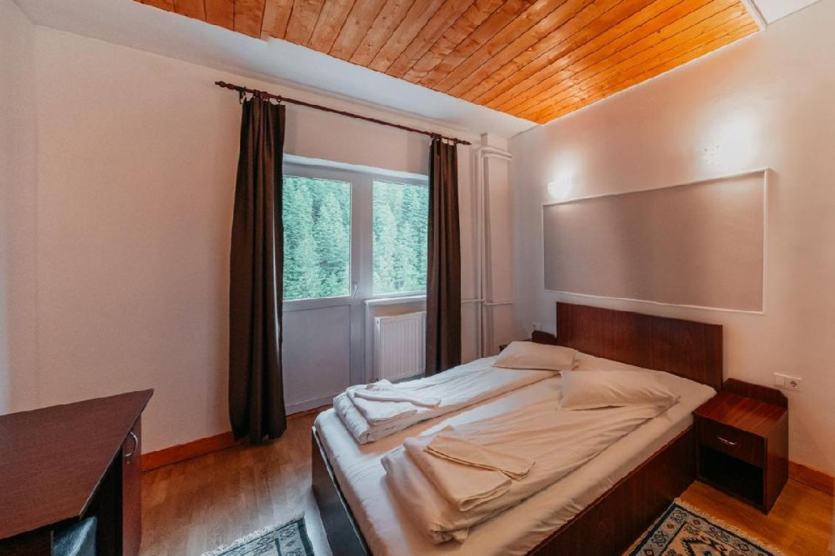 Cabana Balea Cascada CM