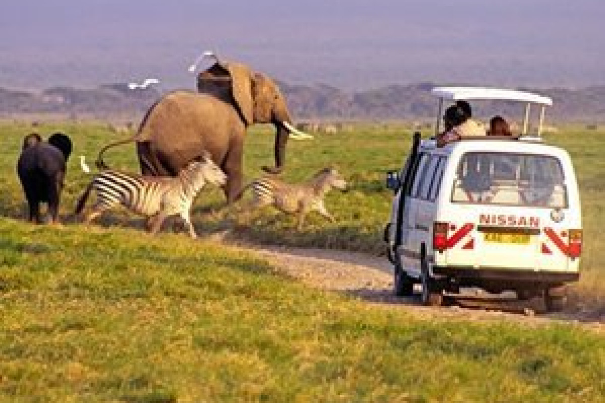 Safari Tsavo West 2 nopti + Plaja 5 nopti