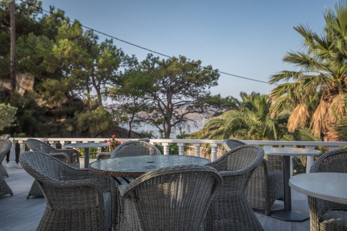 Alma Hotel Petra