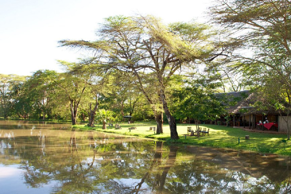 Safari Tsavo West 2 nopti + Plaja 5 nopti