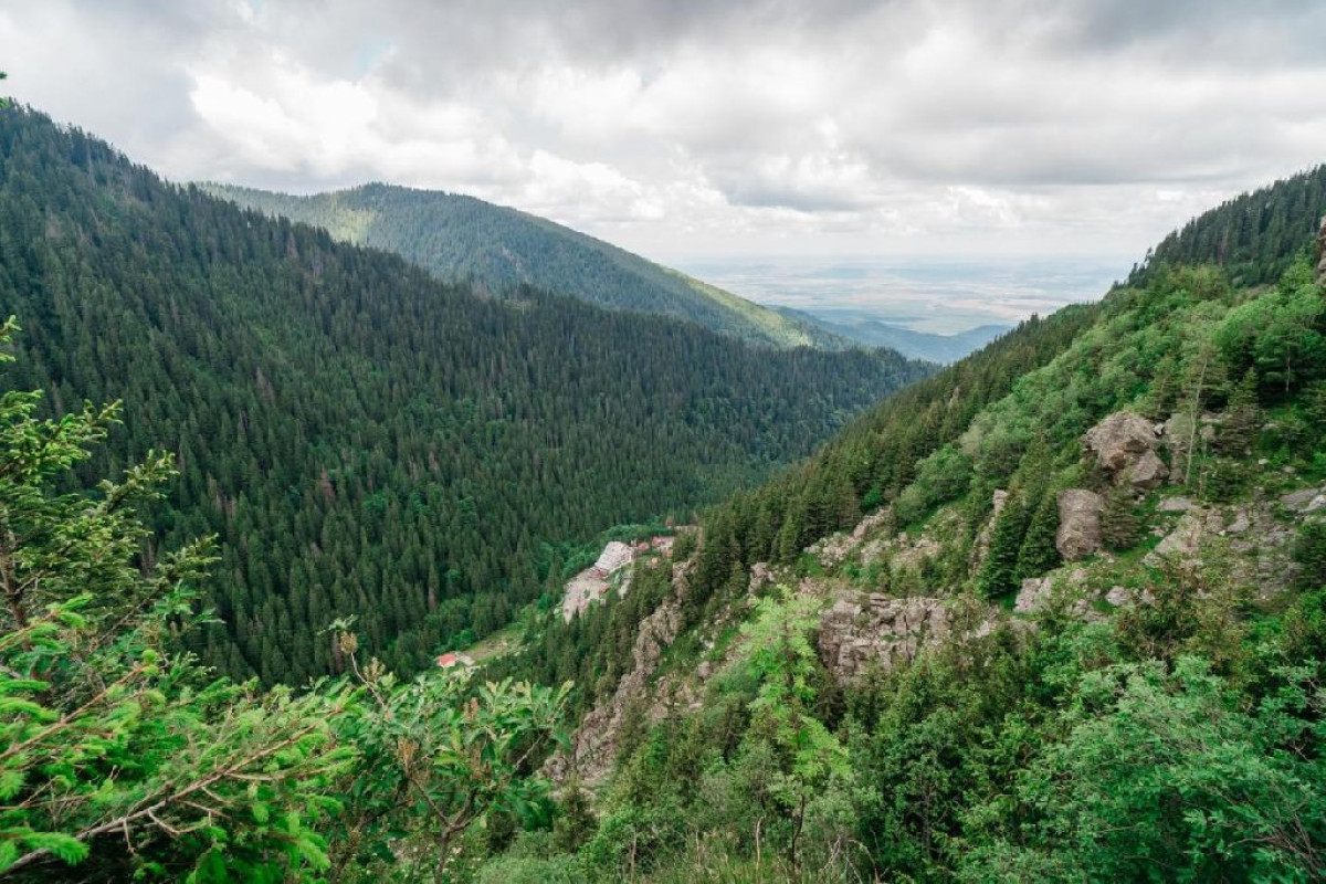 Cabana Balea Cascada..