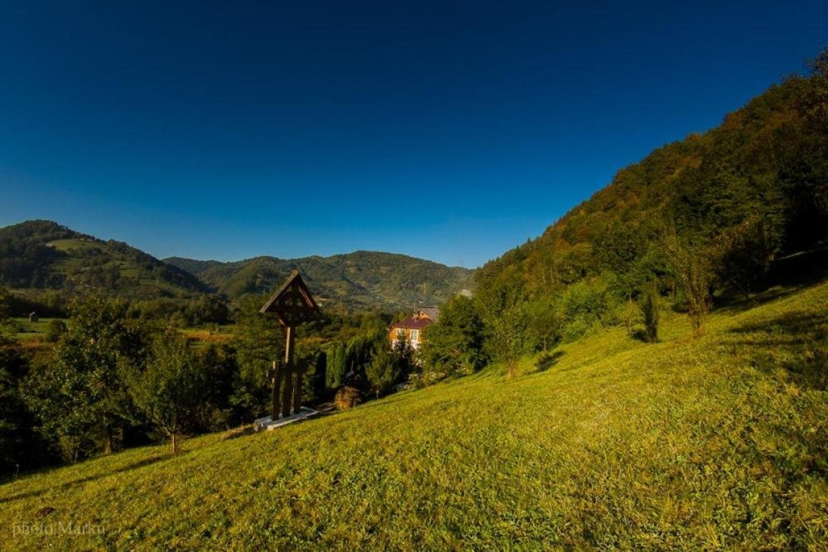 Chalet Flora (Viseul de Jos)