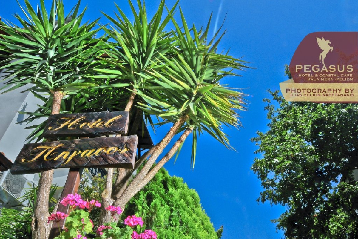 Pegasos Hotel - Kala Nera