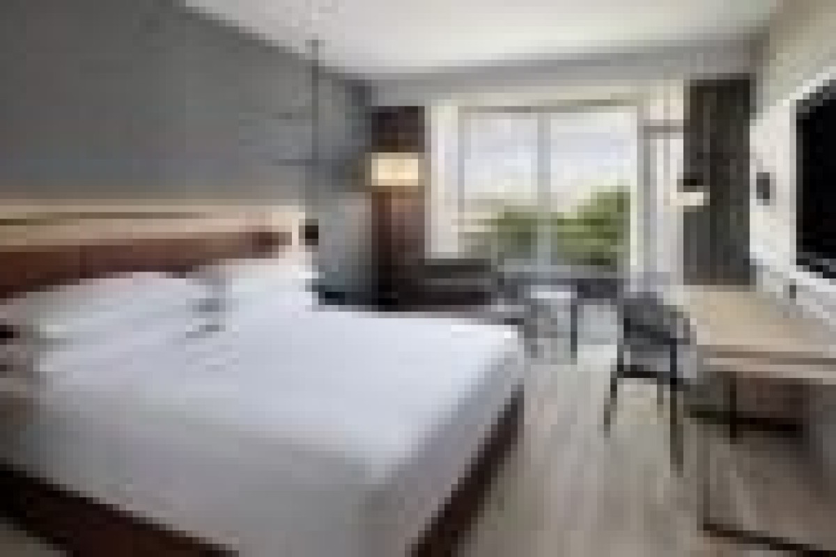IM DREAMER HOTEL