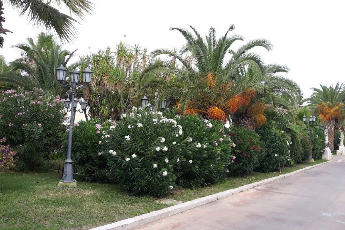 Grand Vigna Nocelli Resort Spa