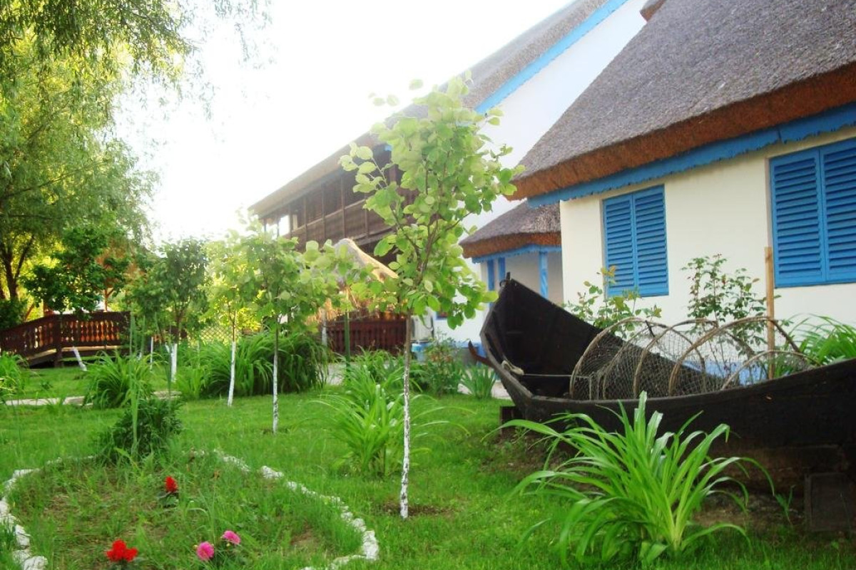 CASA DINTRE SALCII