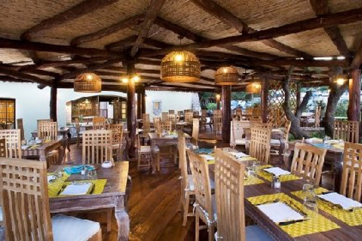Starwood Cervo