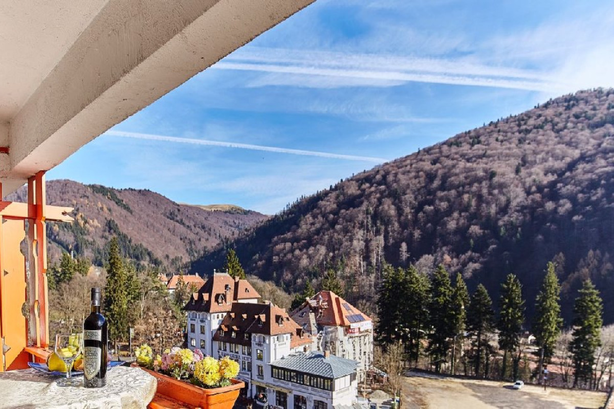 Hotel Sinaia (Rina)