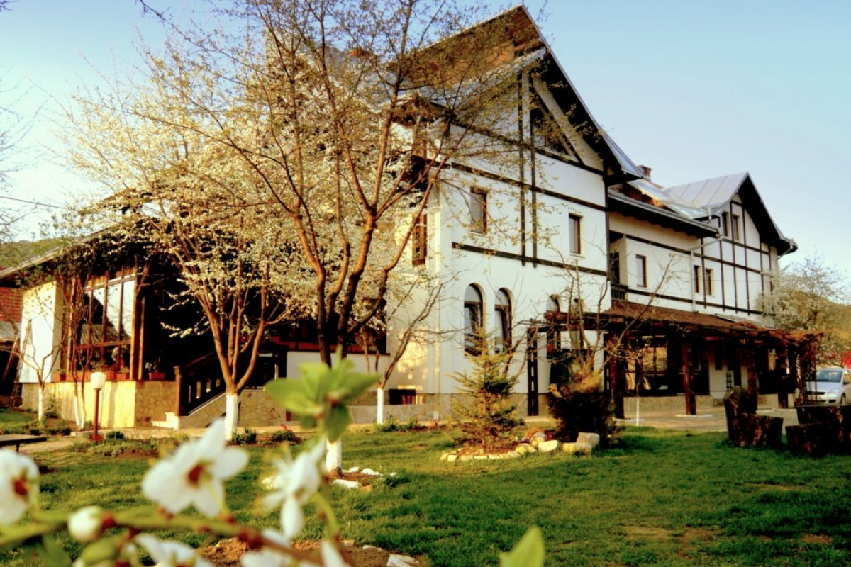 Casa Calin (Vama)