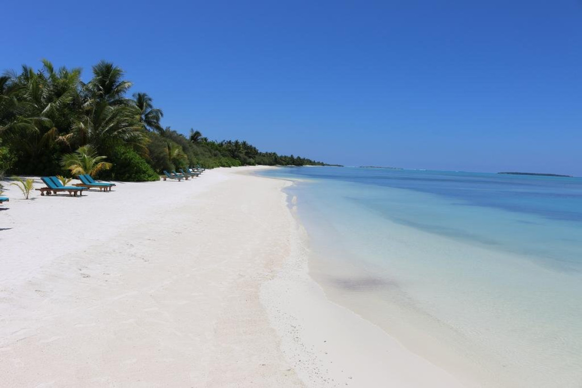 Canareef Resort Maldives