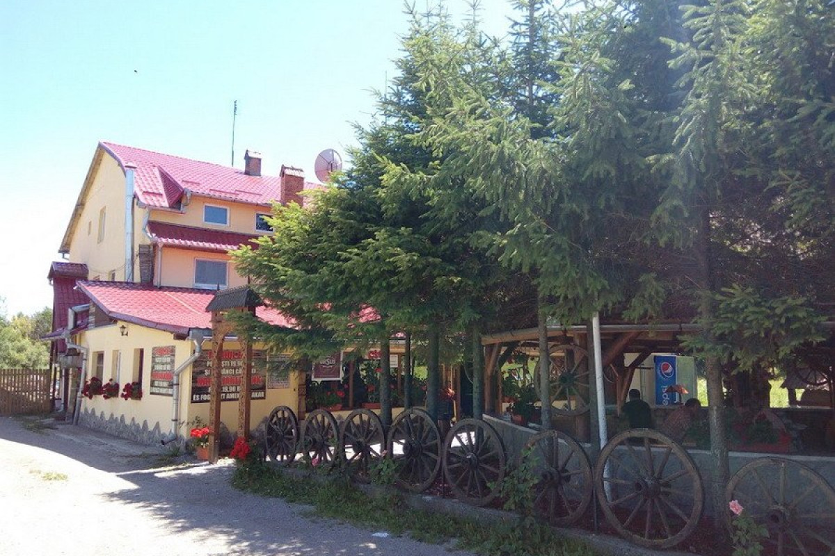 Dozsa Dalnic