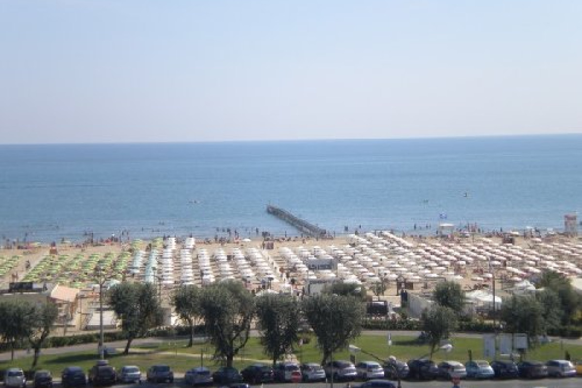 President (Rimini)