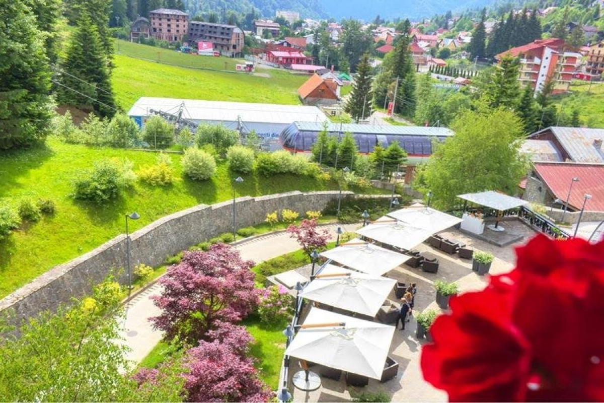 Lux Garden
