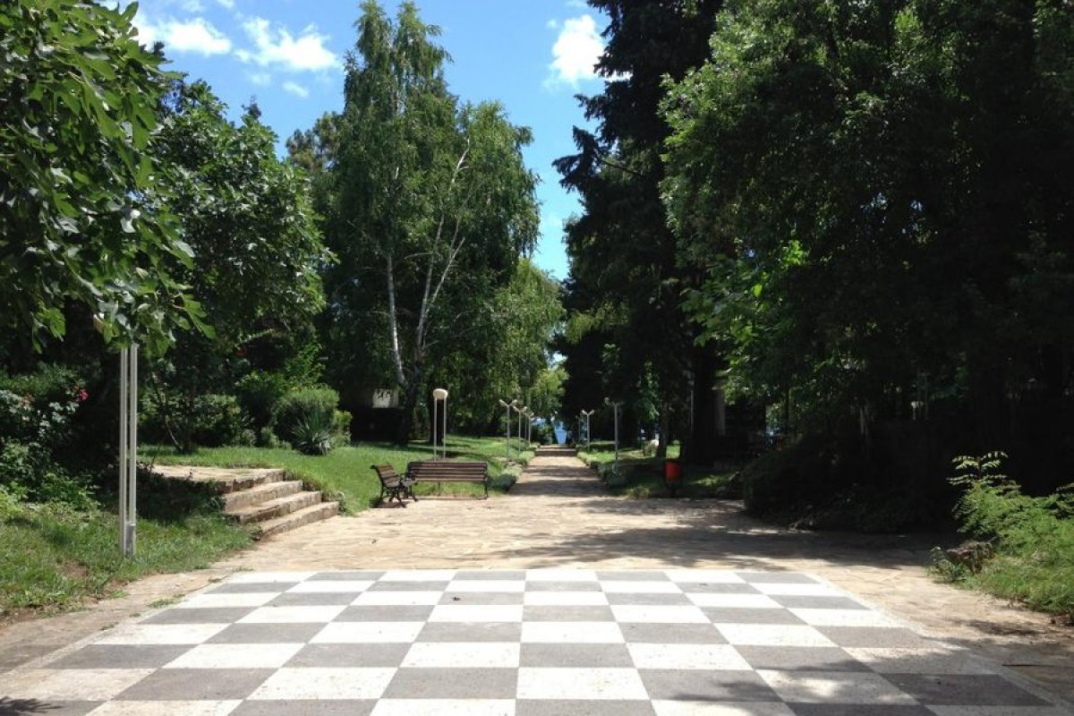 PARK HOTEL OASIS (dublat)