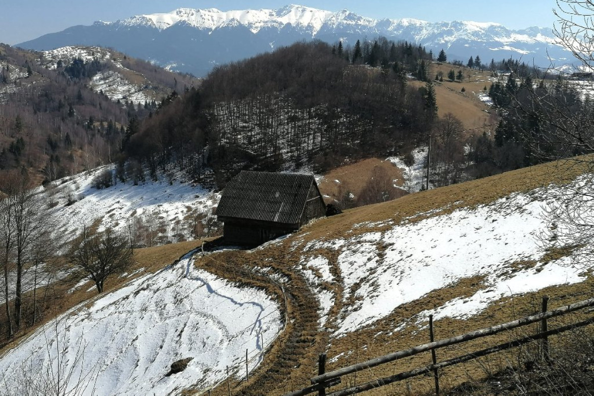 Casa EMA ( sat Pestera)