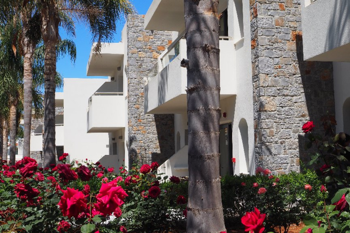Kyknos Beach Hotel Bungalows (Stalida)