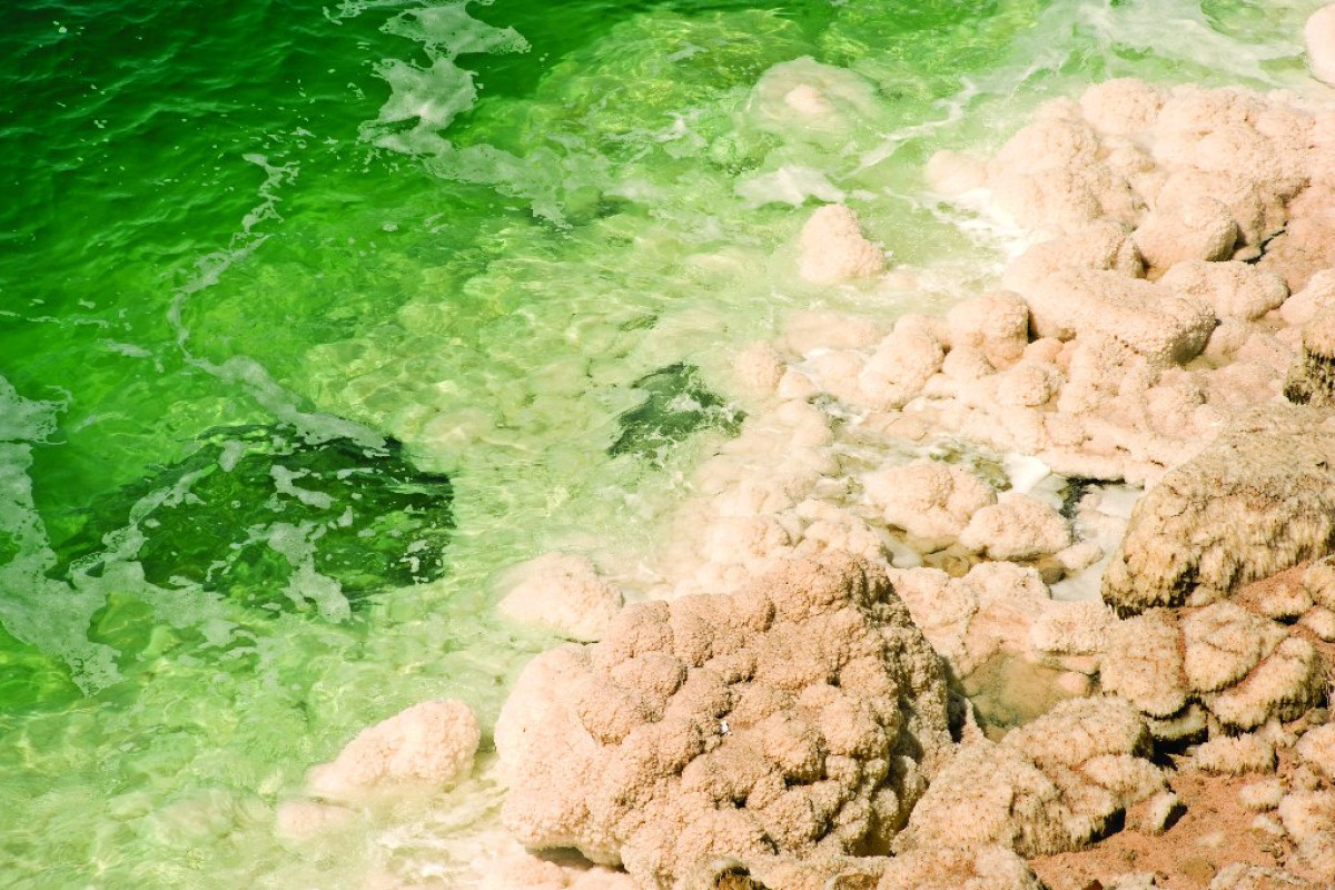 Aqaba Experience Plus pachet 7 nopti