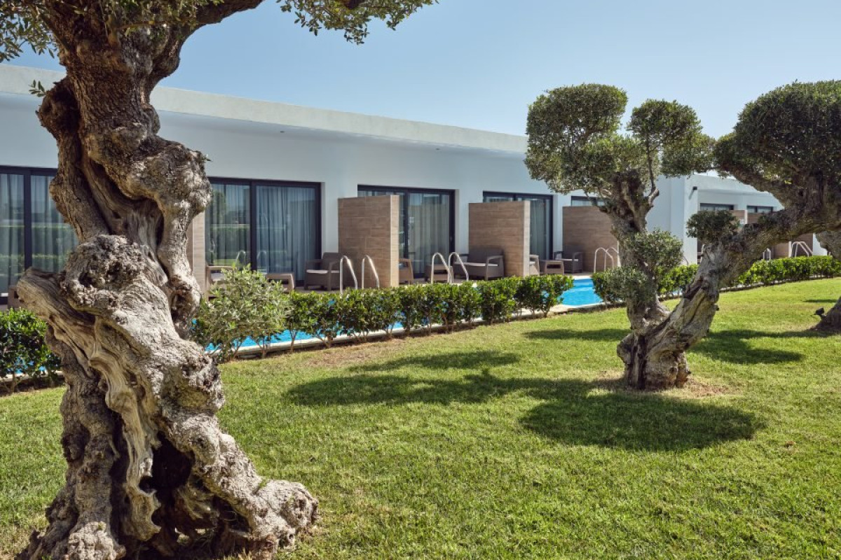 Cavo Orient Beach Hotel