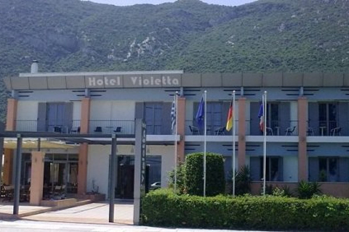 Violeta
