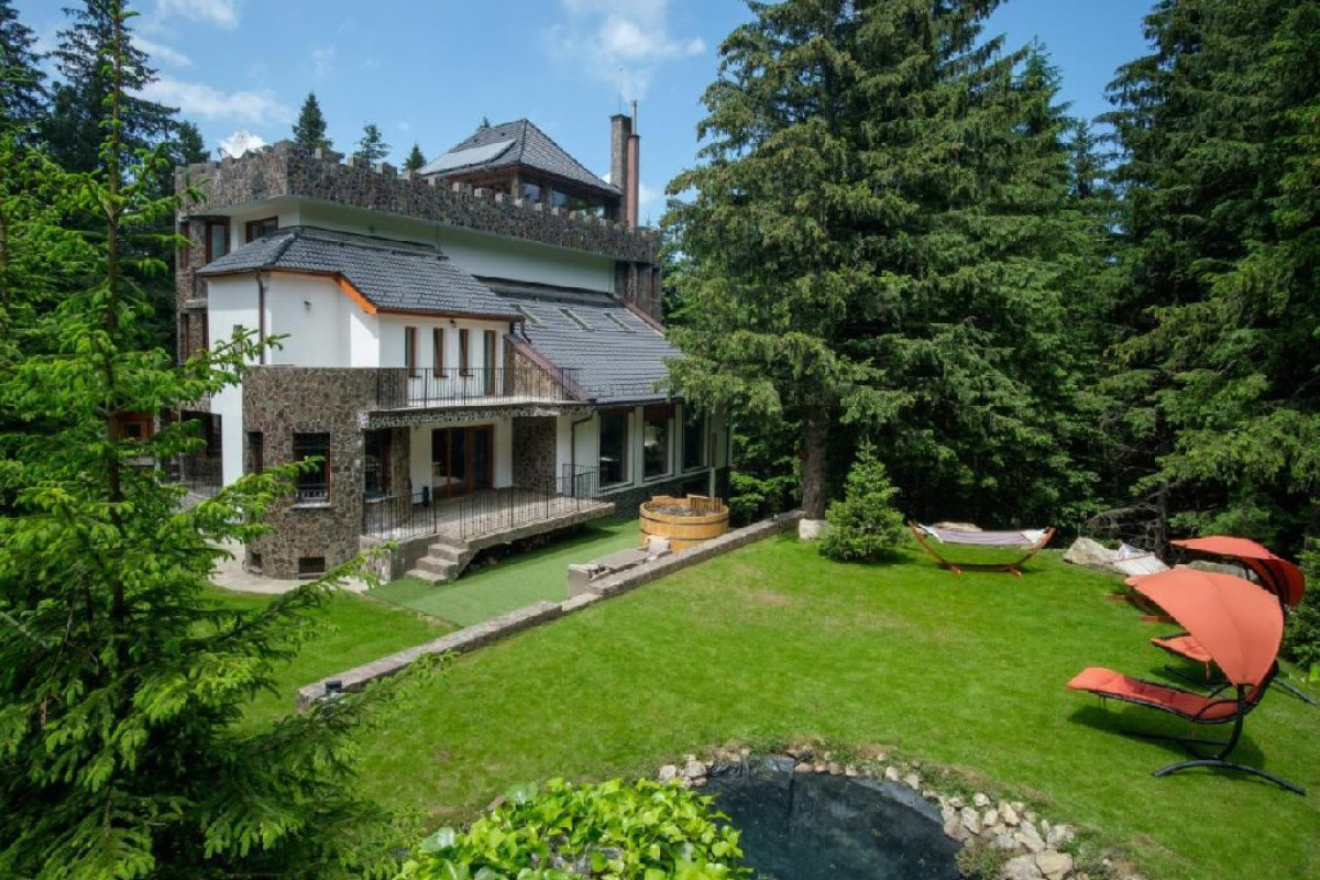 Castelul de Piatra