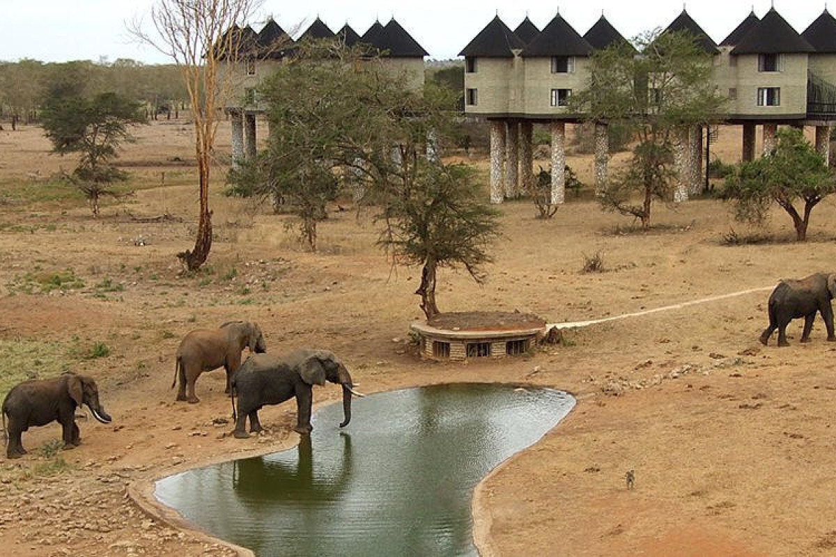 Safari Tsavo East - West (2 nopti) + Bamburi Beach (5 nopti)