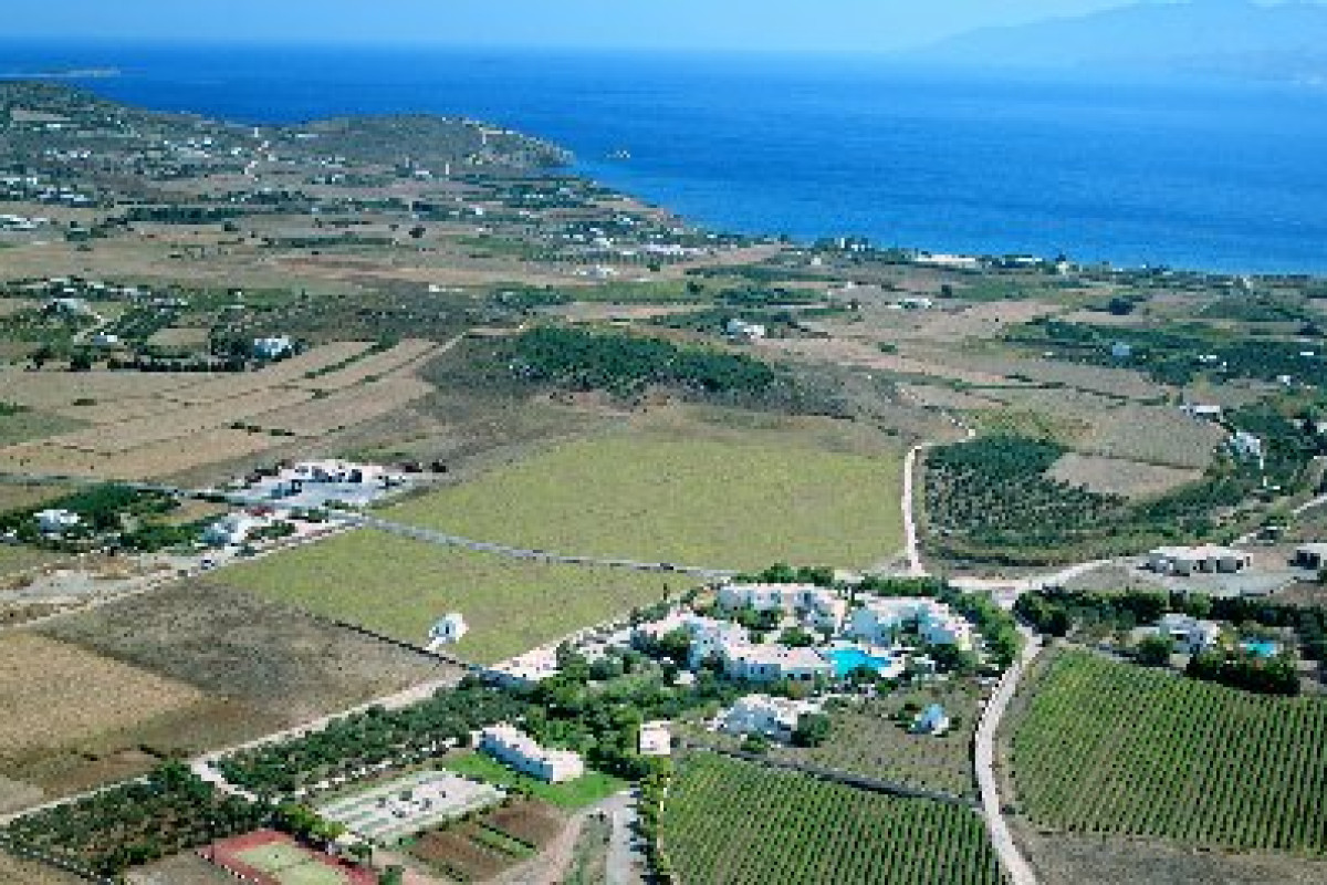 Asteras Paradise