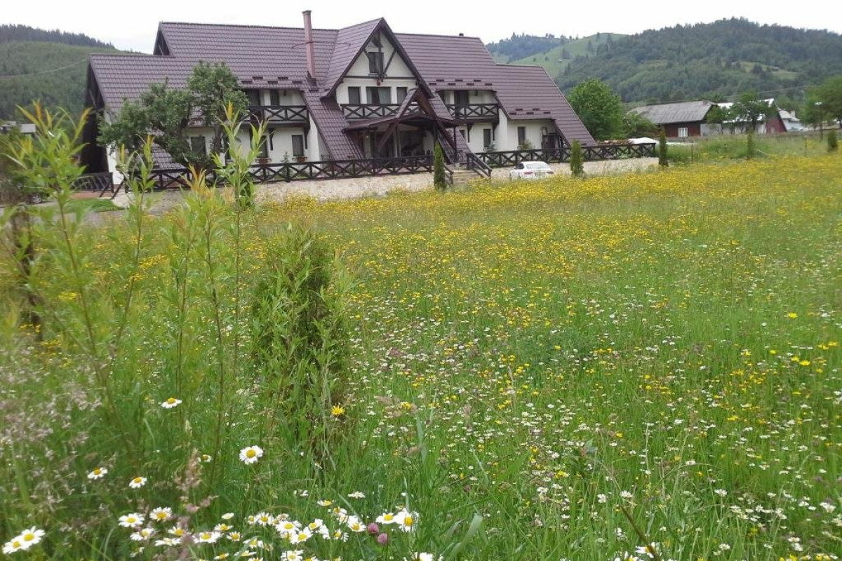 La Bucovineanca