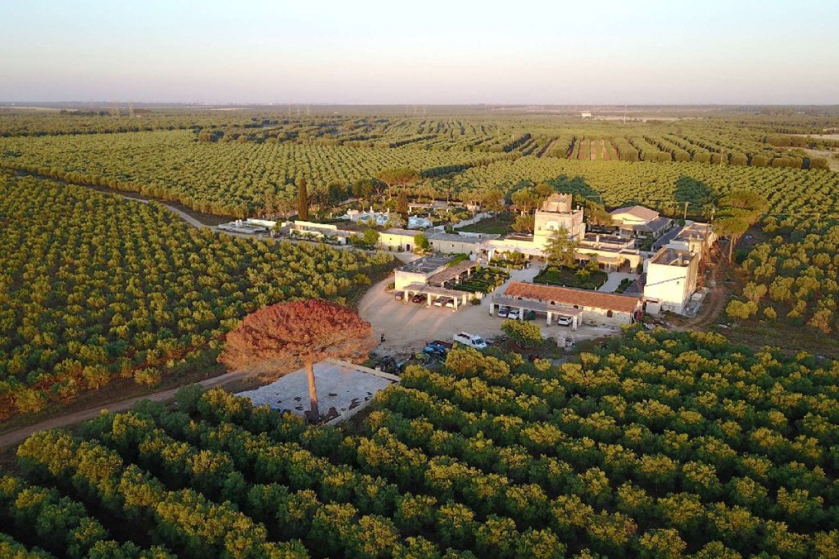 Tenuta Mazzetta