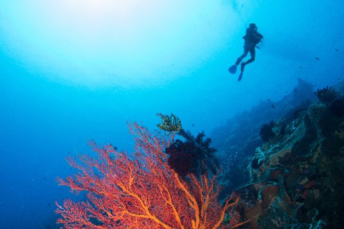 Aqaba Experience Plus pachet 7 nopti