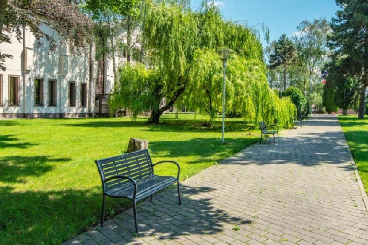 Hotel Conacul Domnesc