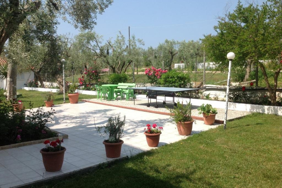 Olympic Bibis (Metamorfosi, Sithonia)