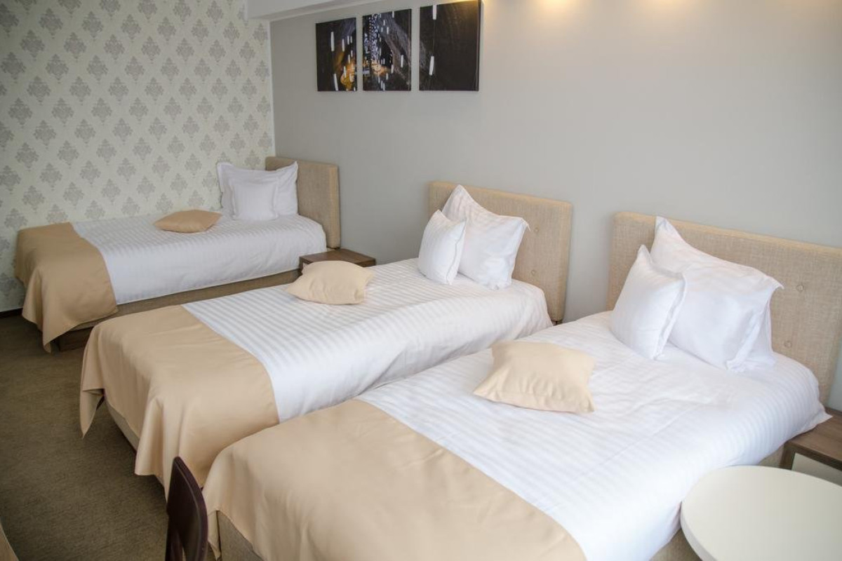 Hotel Potaissa