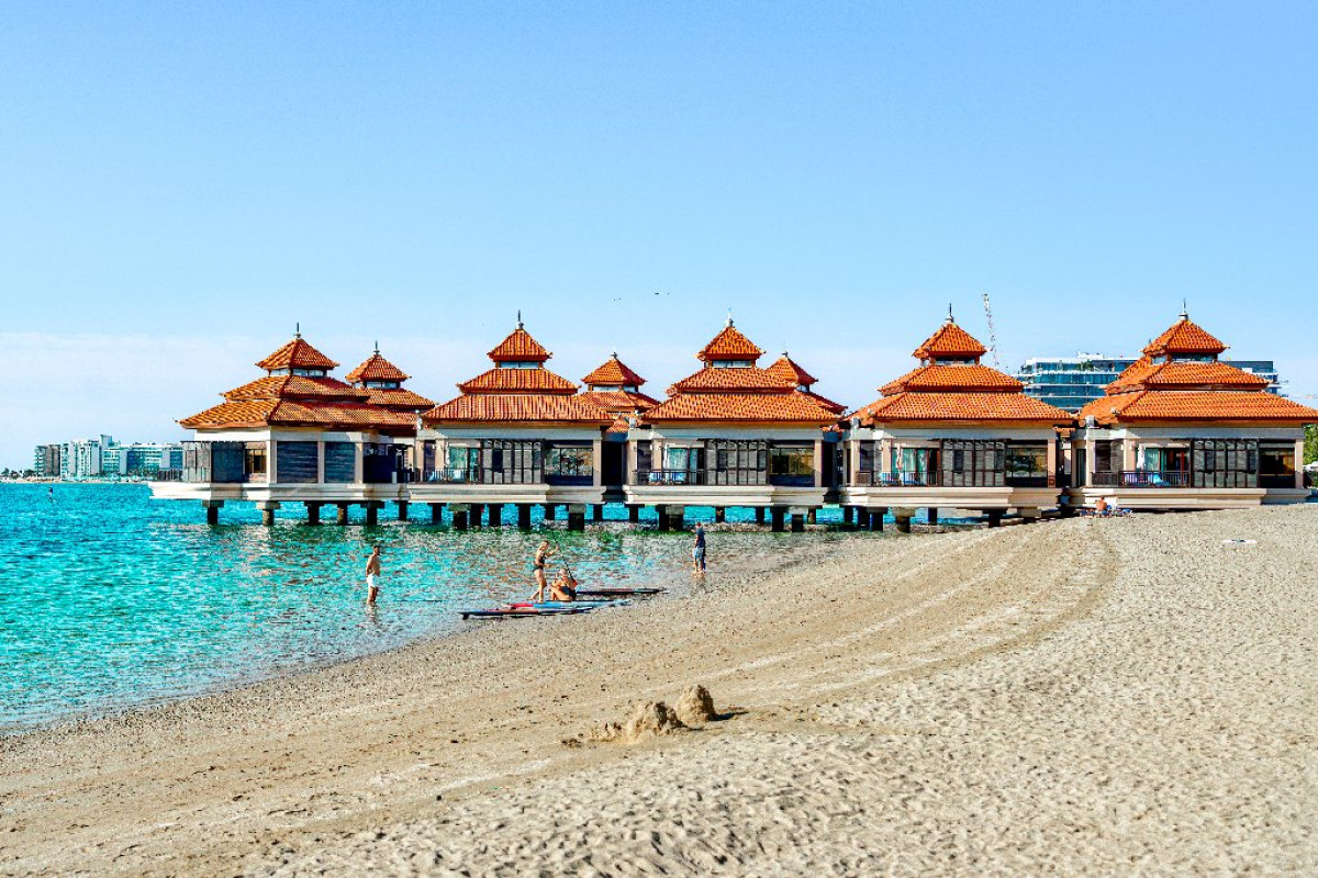 Royal Central The Palm