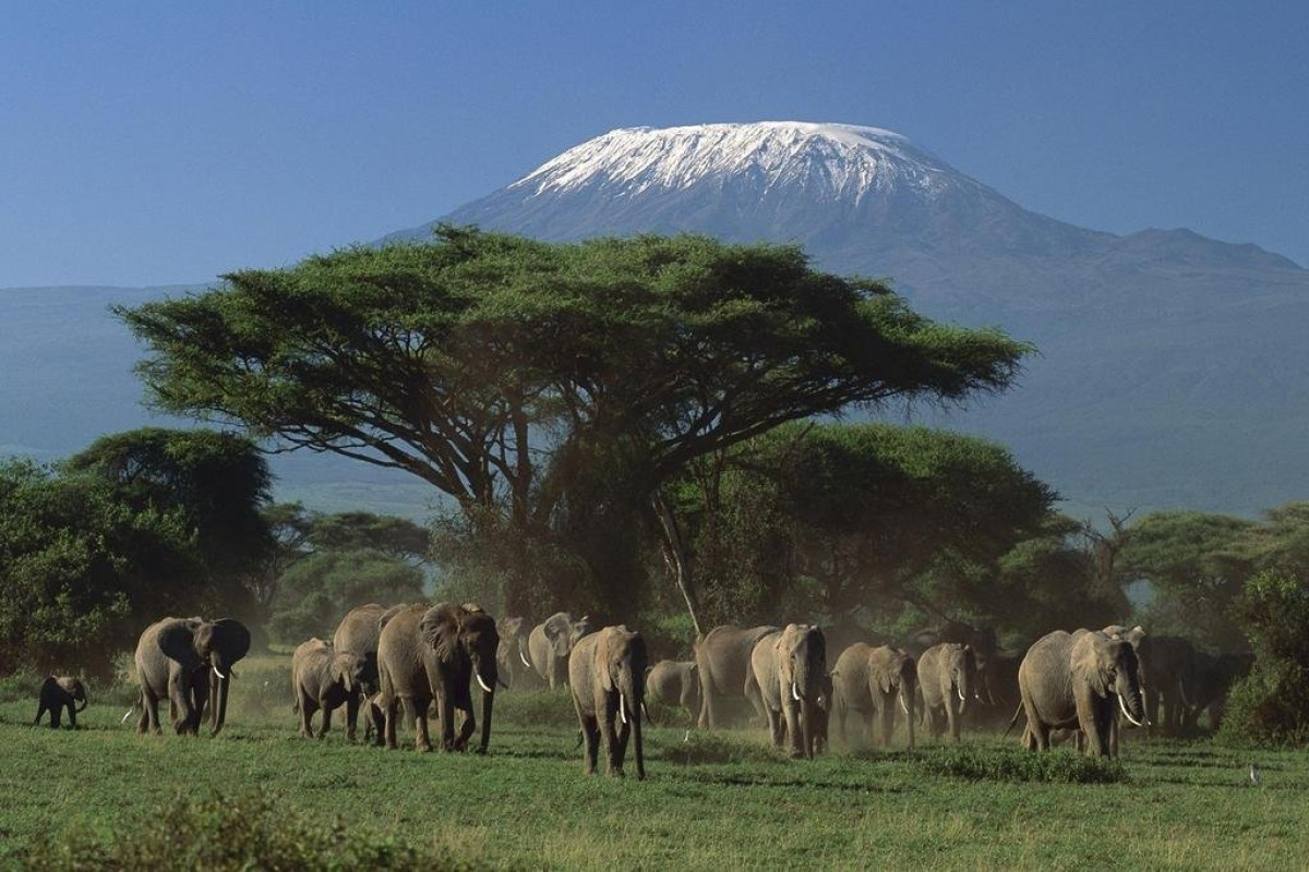 Safari Amboseli-Tsavo (3 nopti) + Diani Reef Beach (4 nopti)