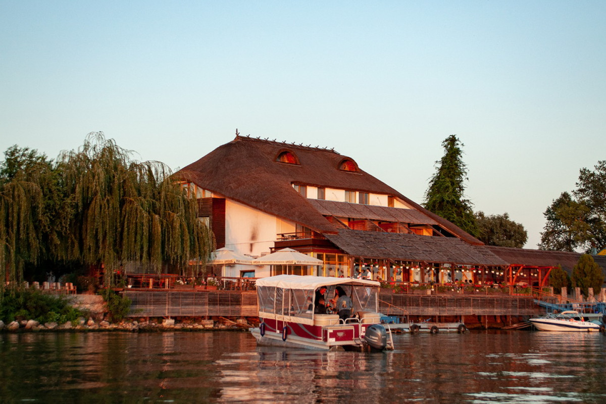 Paradise Delta House - Crisan
