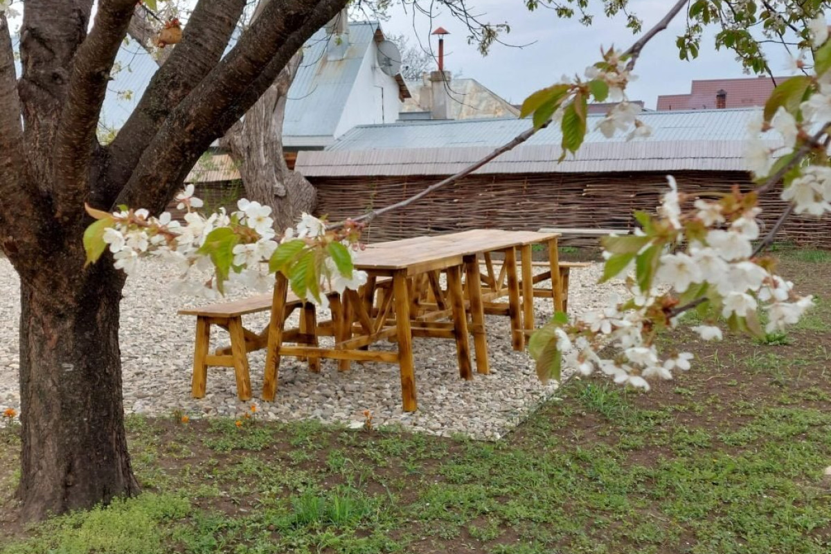Dimineti in Cerdac..