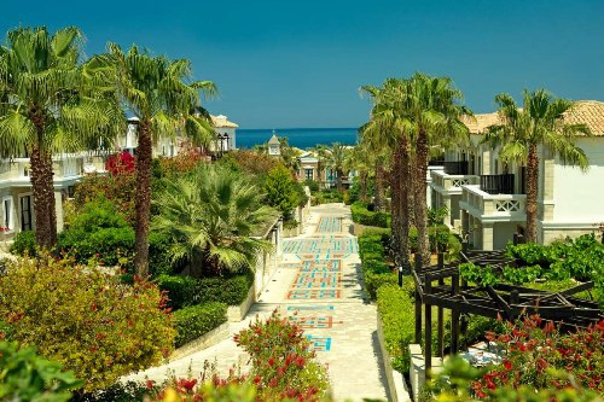 Aldemar Royal Mare